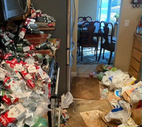 Before photo of biohazard scene in Seattle property with hazardous materials